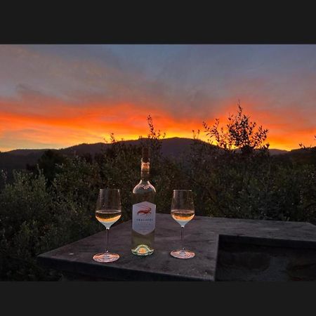 피에베 리구레 Il Gabbiano Di Pieve B&B 외부 사진
