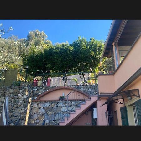 피에베 리구레 Il Gabbiano Di Pieve B&B 외부 사진