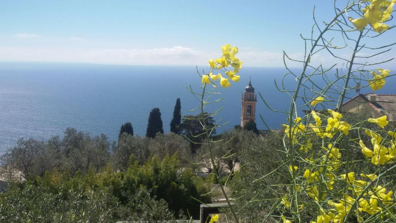 피에베 리구레 Il Gabbiano Di Pieve B&B 외부 사진