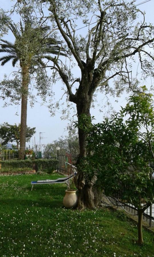 피에베 리구레 Il Gabbiano Di Pieve B&B 외부 사진